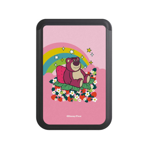  Cardholder Strawberry Rainbow