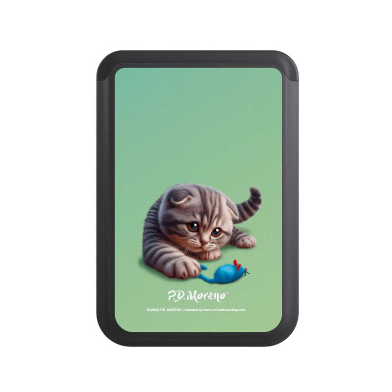  Cardholder Playing Cat with Mouse