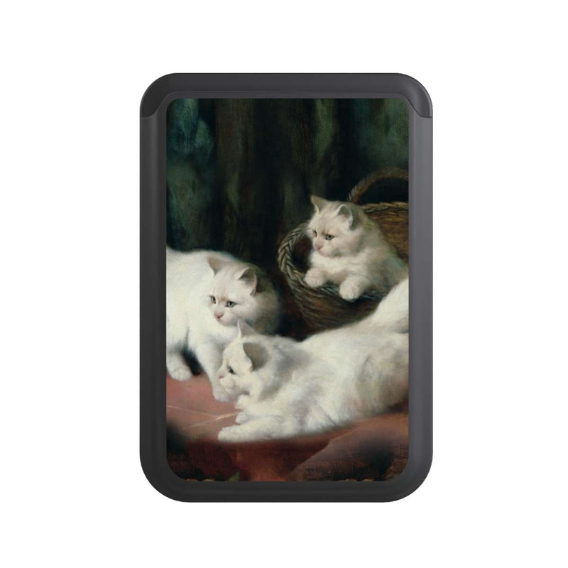  Cardholder Three White Angora Kittens