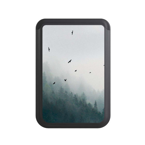  Cardholder Foggy Morning