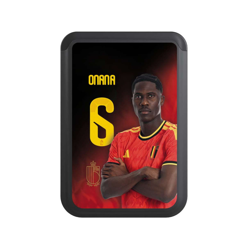  Cardholder Amadou Onana 6