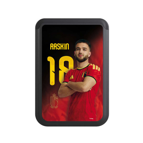  Cardholder Nicolas Raskin 18