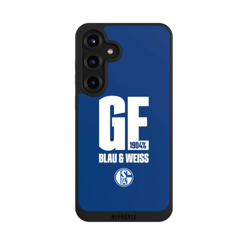 Samsung Galaxy S25+  NIVOpure S04 GE Blau &amp; Weiss