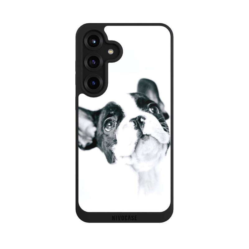 Galaxy S25 + NIVOpure Frenchy Louis