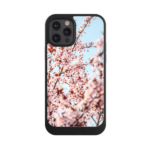 Apple iPhone 12 Pro NIVOcore Kirschblüten Fotografie