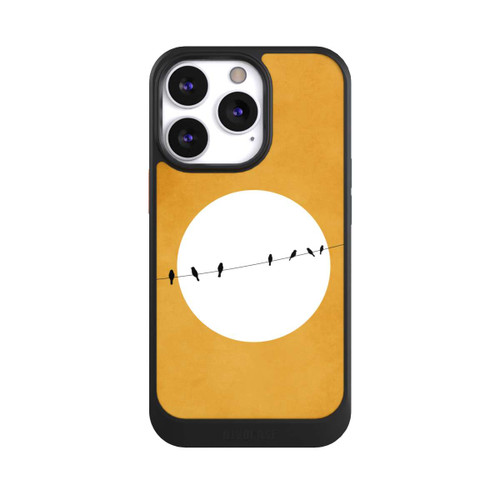 Apple iPhone 13 Pro NIVOcore Chirping And Chilling