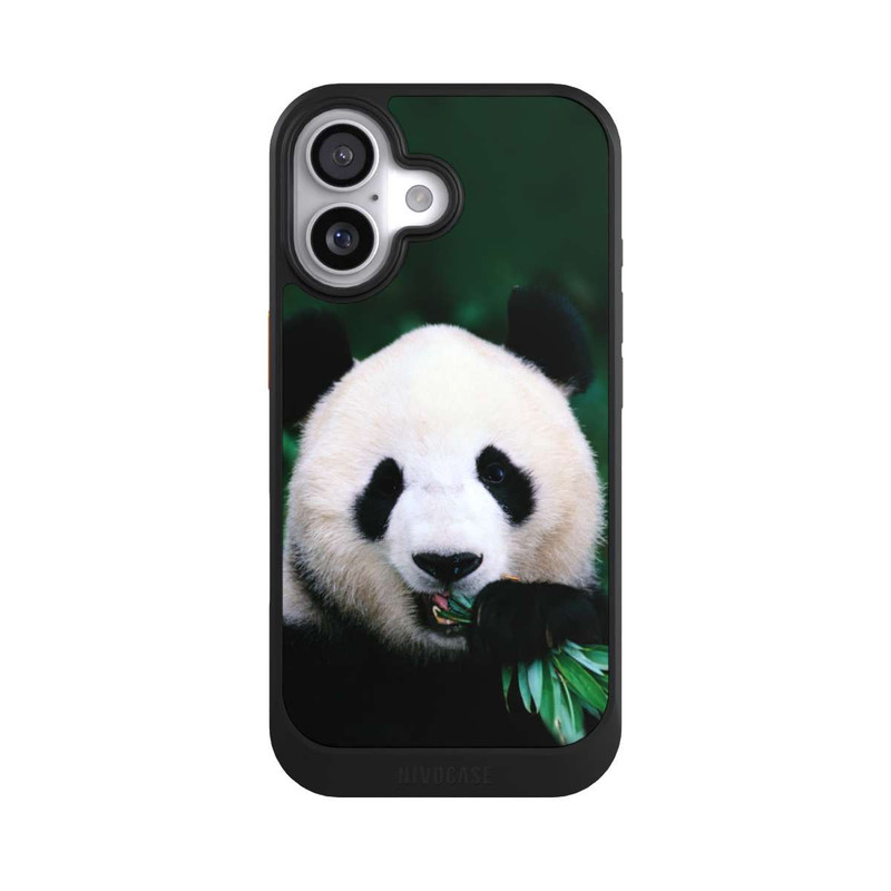 iPhone 17 NIVOcore Bamboo Bear