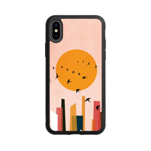 Apple iPhone Xs Base Case Tanzende Vögel