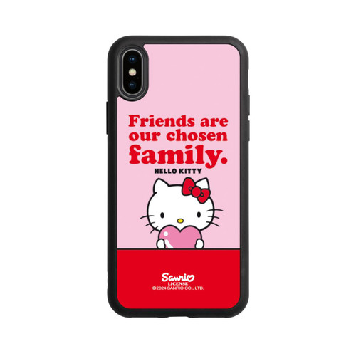 Apple iPhone Xs Base Case HK Friends are Family