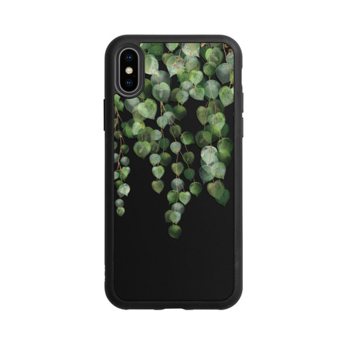 Apple iPhone Xs Base Case Eucalyptus Hanging Watercolor Transparent