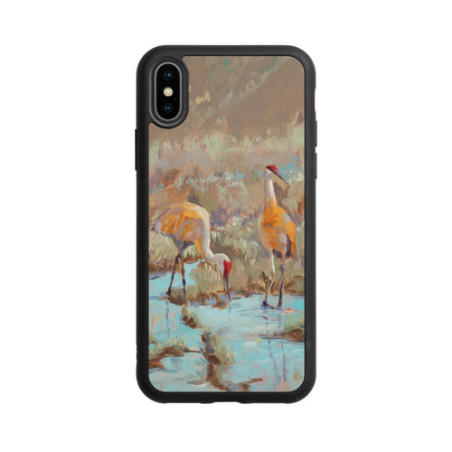 Apple iPhone Xs Base Case The Courtship by Roberta Murray