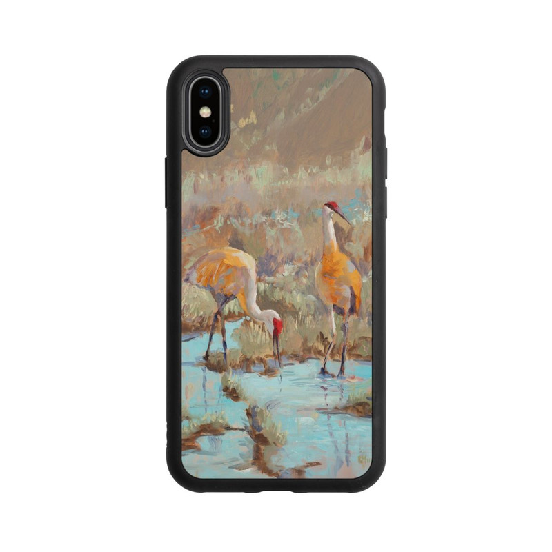 iPhone Xs Base Case The Courtship by Roberta Murray