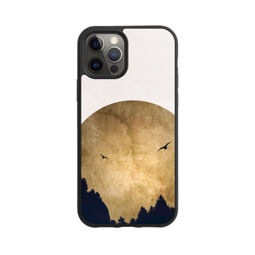 Apple iPhone 12 Pro Base Case Zwei Vögel vor Mond