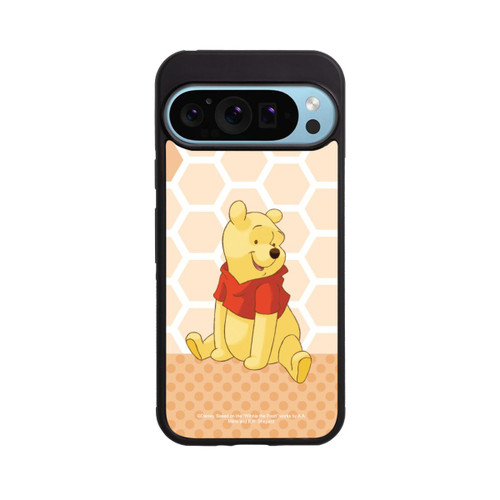 Google Pixel 9 Pro Base Case Winnie Puuh