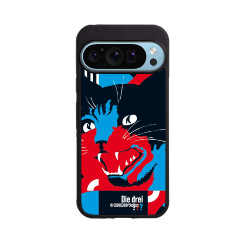 Google Pixel 9 Pro Base Case Drei Fragezeichen Gefahr