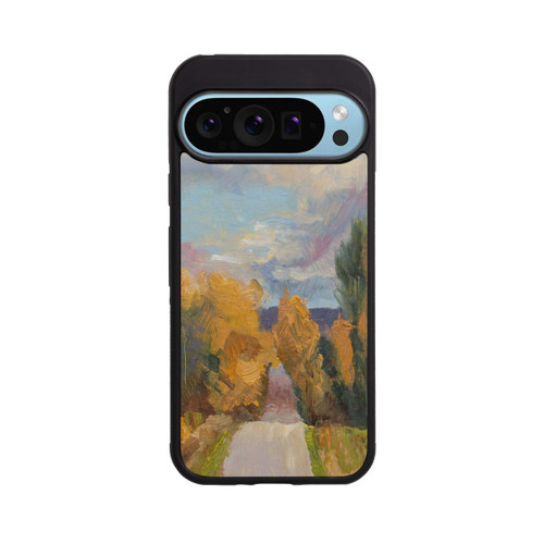 Google Pixel 9 Pro Base Case Grandview Autumn by Roberta Murray