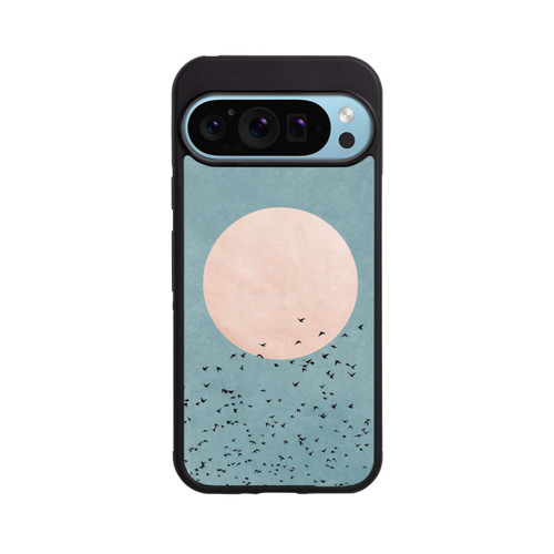 Google Pixel 9 Pro XL Base Case Wegfliegen