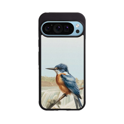 Google Pixel 9 Pro XL Base Case Eisvogel Retro