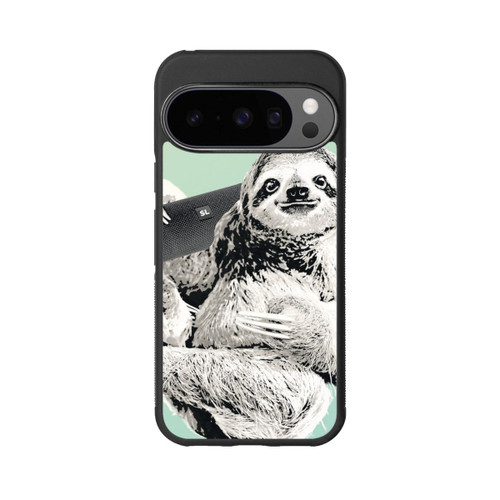 Google Pixel 10 Pro Base Case Erroneous