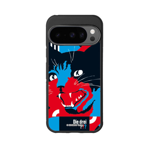 Google Pixel 10 Pro Base Case Drei Fragezeichen Gefahr