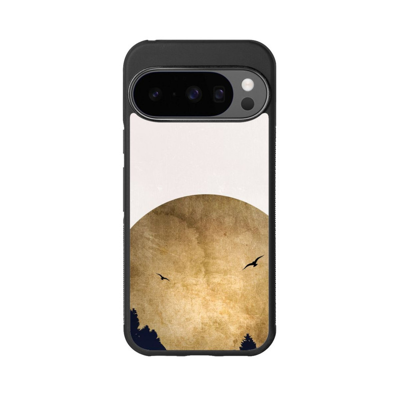 Pixel 10 Pro Base Case Zwei Vögel vor Mond