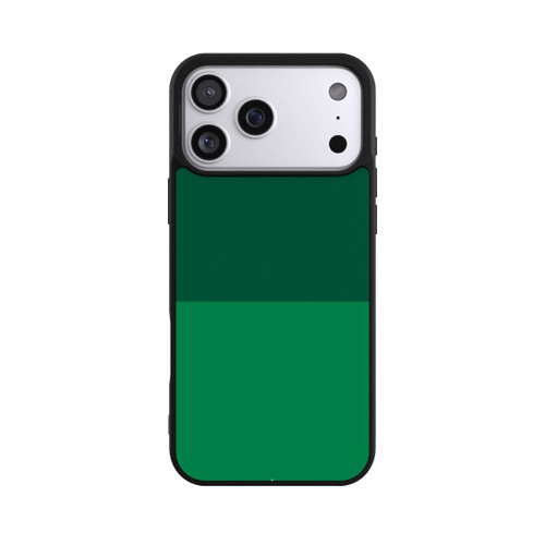 Apple iPhone 17 Pro Max Base Case Werder Bremen Grün auf Grün
