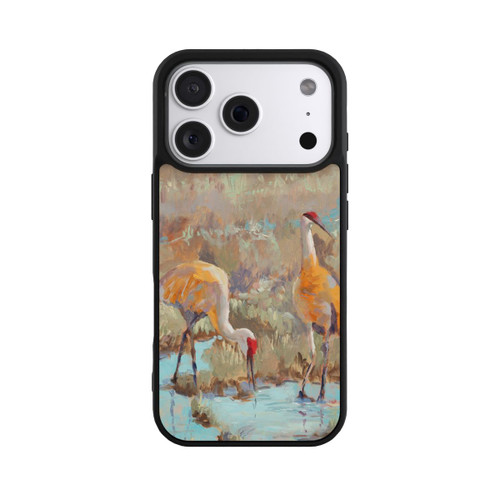 Apple iPhone 18 Pro Base Case The Courtship by Roberta Murray