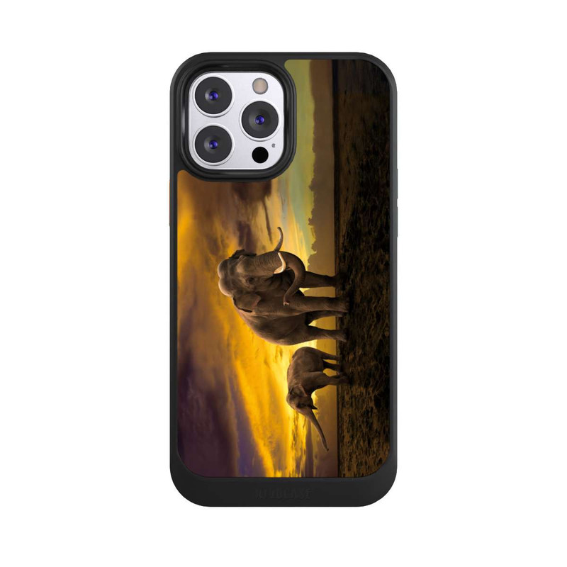 iPhone 13 Pro Max NIVOcore This is Africa