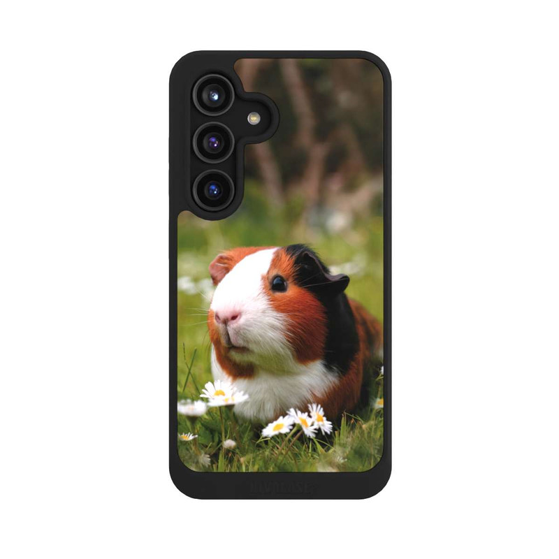 Galaxy S24 NIVOcore Cochon d'Inde