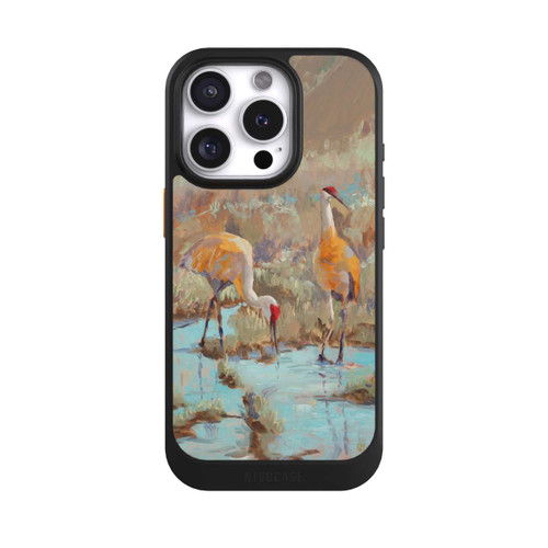 Apple iPhone 16 Pro NIVOcore The Courtship by Roberta Murray