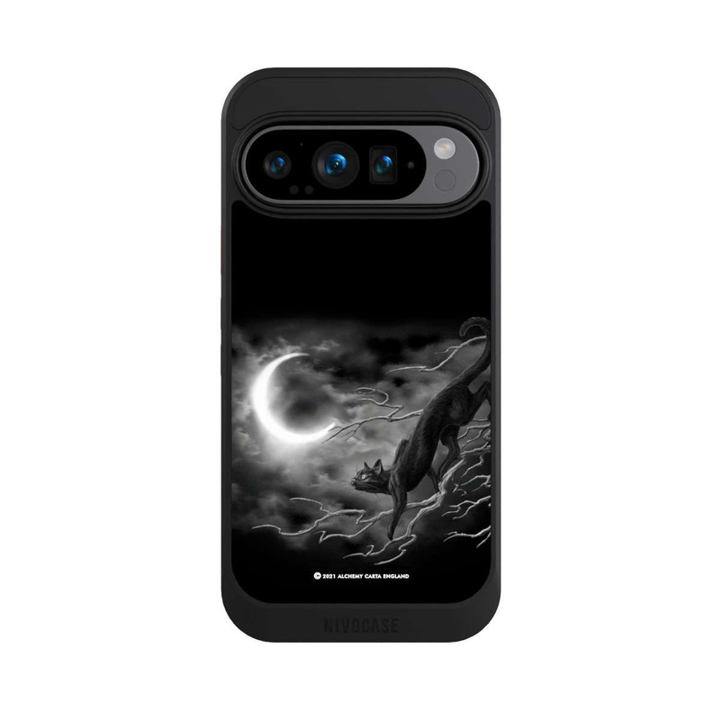 Pixel 9 Pro NIVOcore Minnaloushe