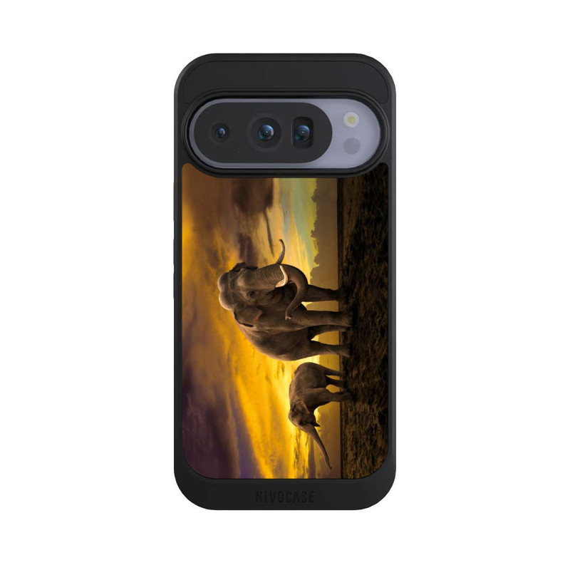 Pixel 10 Pro NIVOcore Das ist Afrika