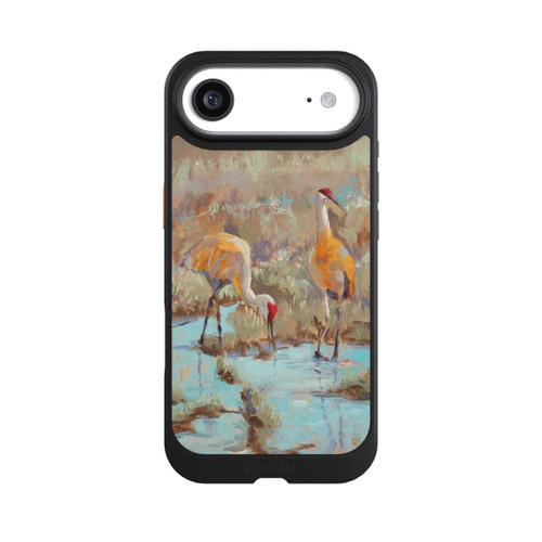 Apple iPhone Air NIVOcore The Courtship by Roberta Murray