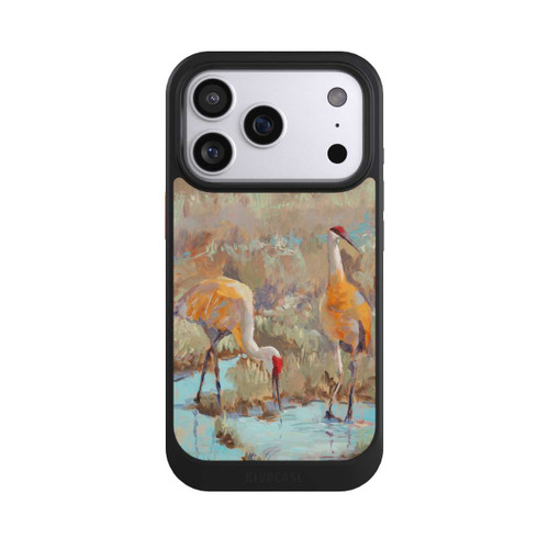 Apple iPhone 17 Pro NIVOcore The Courtship by Roberta Murray