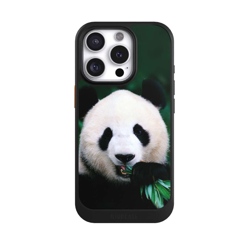 iPhone 16 Pro NIVOcore Bamboo Bear