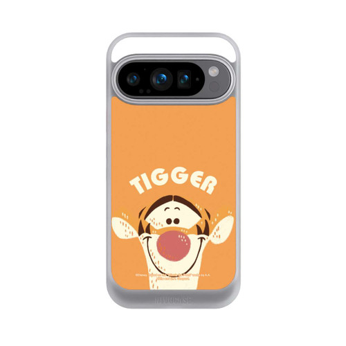 Google Pixel 9 Pro NIVOcore Tigger Nahaufnahme