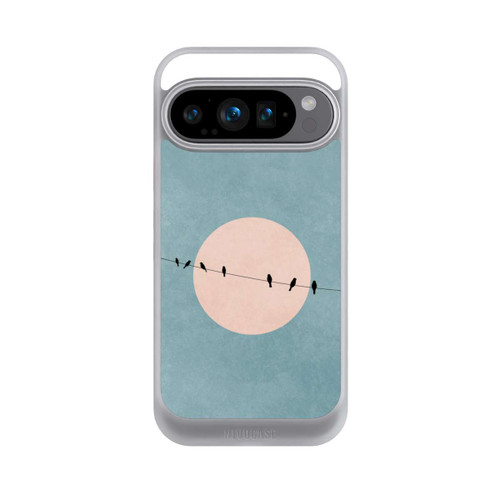 Google Pixel 9 Pro NIVOcore Die Schönheit der Stille