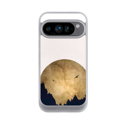 Google Pixel 9 Pro NIVOcore Zwei Vögel vor Mond