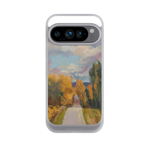 Google Pixel 9 Pro NIVOcore Grandview Autumn by Roberta Murray