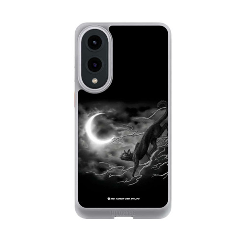 Samsung Galaxy S25 Edge NIVOcore Minnaloushe