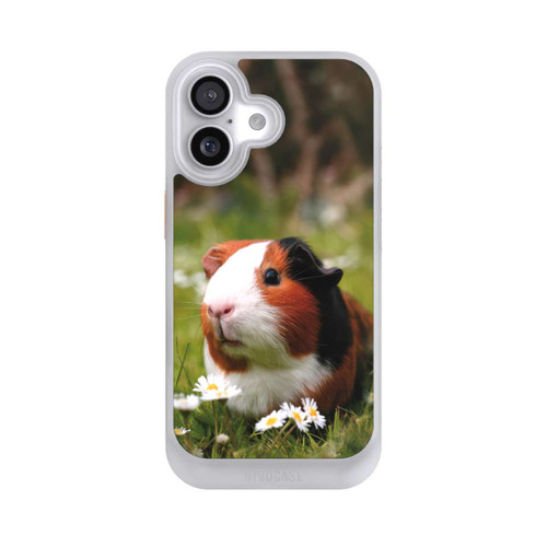  NIVOcore Meerschweinchen