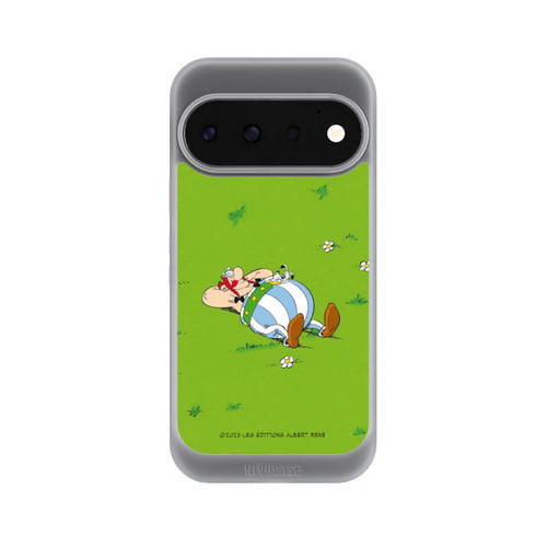 Google Pixel 11 Pro NIVOcore Obelix Ruht Sich Aus