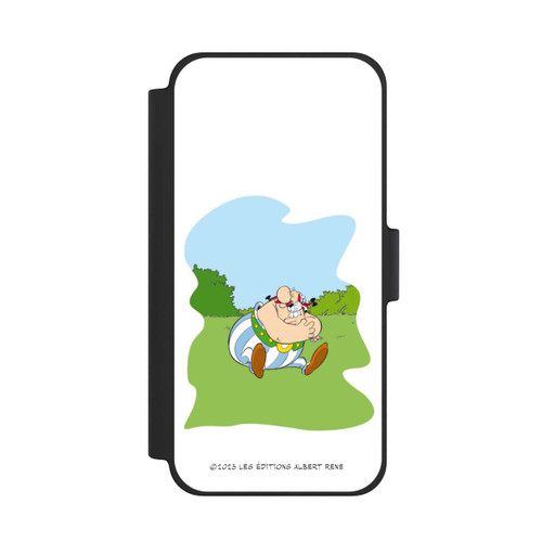 Apple iPhone 12 mini NIVOflip Obélix Idéfix Assis