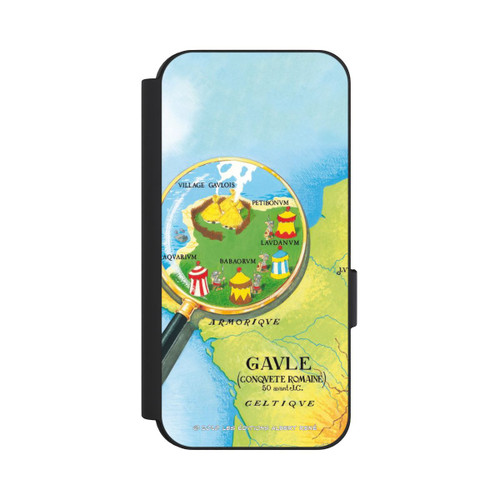 Google Pixel 9 NIVOflip Gaule Carte