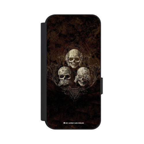 Google Pixel 9 NIVOflip No Evil