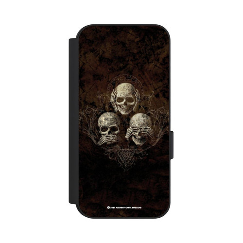 Google Pixel 9 Pro NIVOflip No Evil