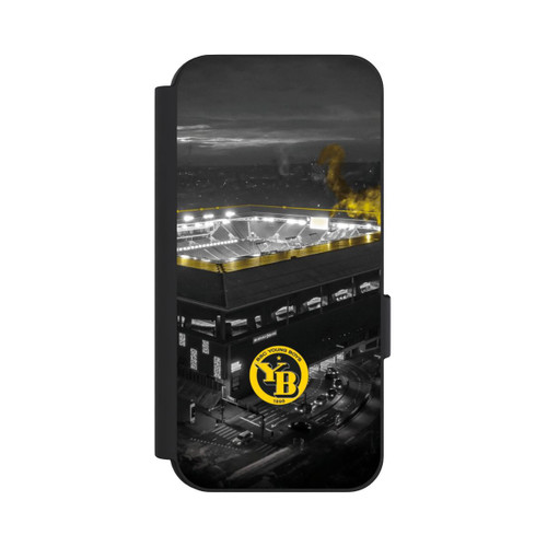 Google Pixel 9 Pro NIVOflip BSC Young Boys Stadium
