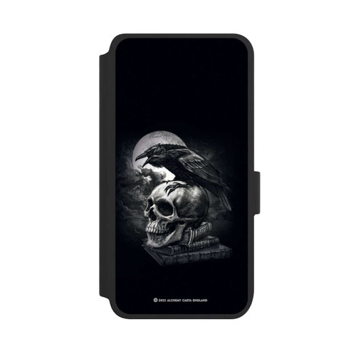 Samsung Galaxy S25 NIVOflip Poe's Raven