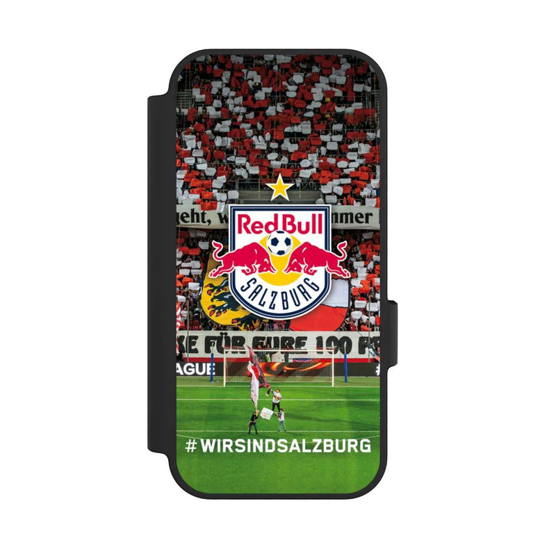 Pixel 10 NIVOflip Wir sind Salzburg