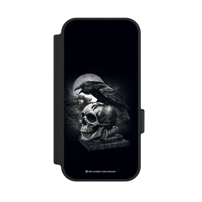 Pixel 10 NIVOflip Poe's Raven